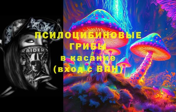 шишки Бугульма